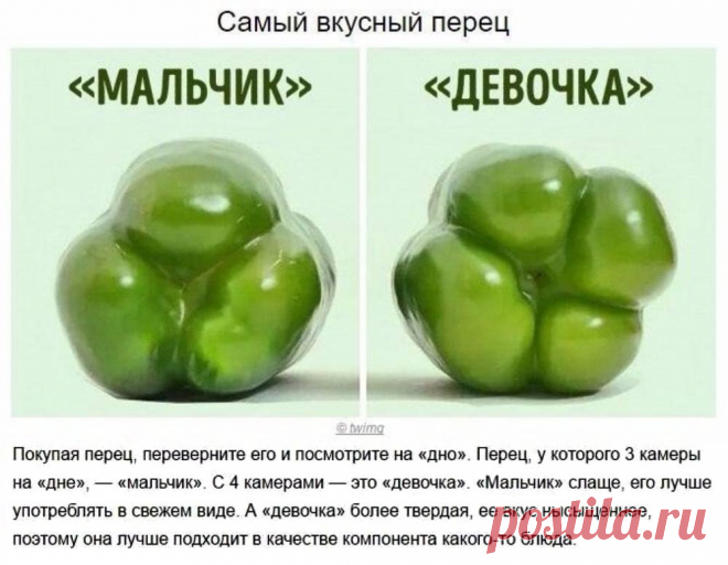 Выбираем болгарский перец
