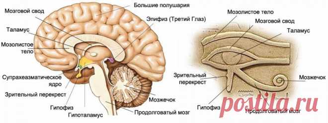 (+2) НАУЧНЫЕ ДОКАЗАТЕЛЬСТВА КВАНТОВОГО ПЕРЕХОДА