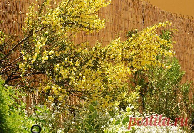 Оксана Клименко Бранди
38 лет, Италия, Перуджа