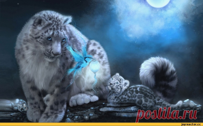 JoyReactor - смешные картинки и другие приколы: комиксы, гиф анимация, видео, лучший интеллектуальный юмор.