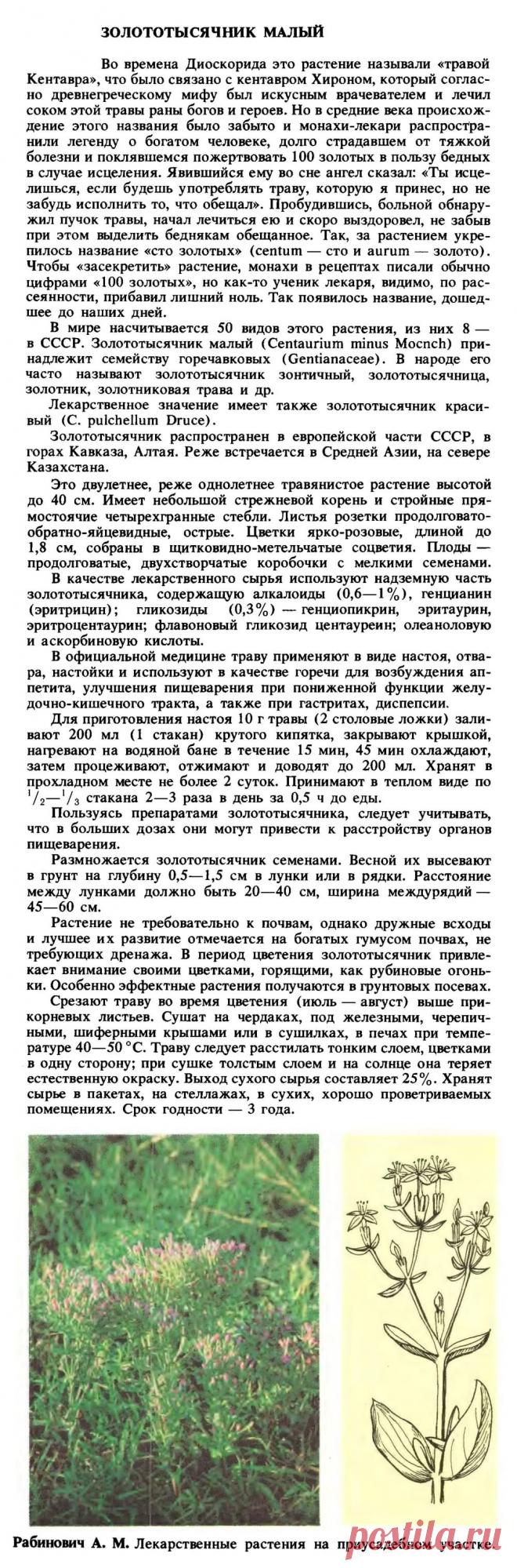 Золототысячник малый