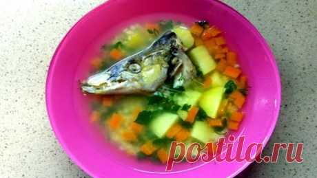 Уха из щуки. Царская уха! Рыбный суп из щучьей головы и хвоста.