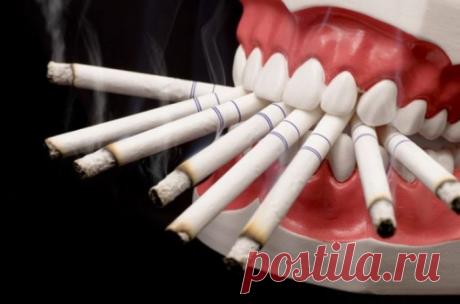 Найден самый странный способ бросить пить и курить, и это не самоубийство