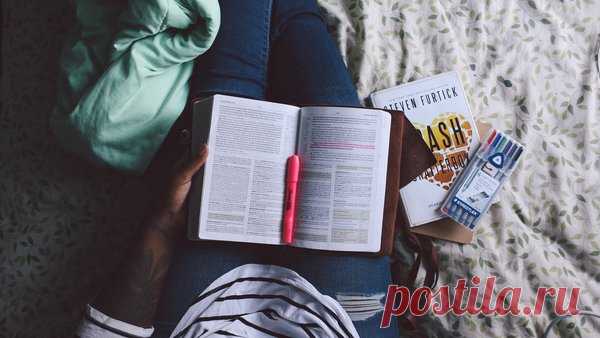 7 секретов эффективного обучения + Бонус (метод Цицерона) | All secrets | Яндекс Дзен