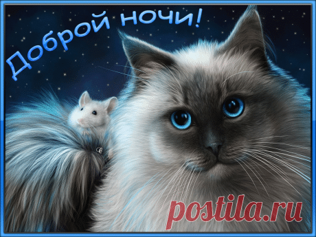 GIFOK | Доброй ночи