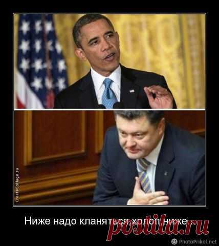 (73) Одноклассники