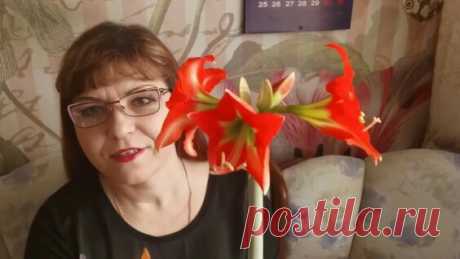 Гиппеаструм (амариллис) секреты от а до я. - Яндекс.Видео