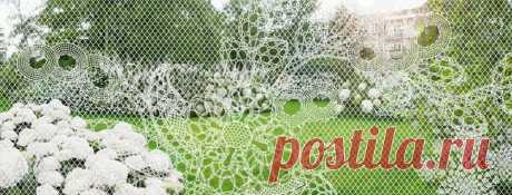 Кружевное ограждение дачи — 6 соток