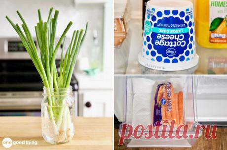 36 Easy Food Storage Tips That Will Save You A Fortune