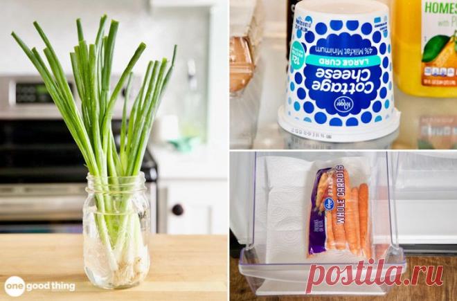 36 Easy Food Storage Tips That Will Save You A Fortune
