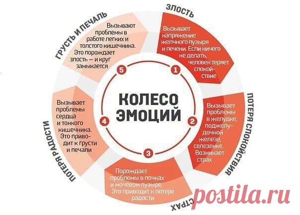 ОТ ЧЕГО ВОЗНИКАЮТ БОЛЕЗНИ ПО МНЕНИЮ КИТАЙЦЕВ