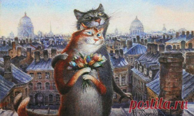 Питерские коты Владимира Румянцева