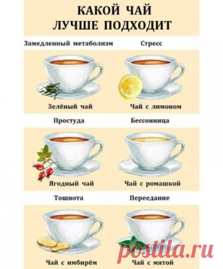 О пользе чая