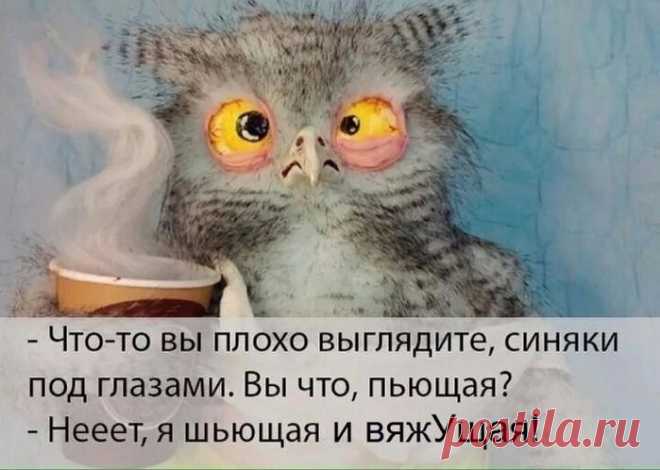 Юмор >Моим подружкам,вязальщицам!