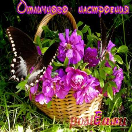 Отличного настроения!