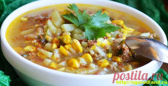 Супы с кукурузой. Подборка рецептов вкусных кукурузных супов