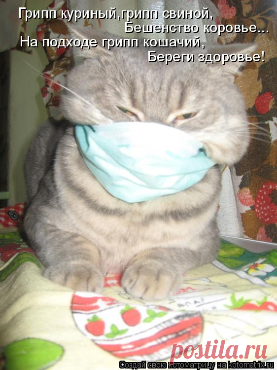 Котоматрица: Случайные котоматрицы