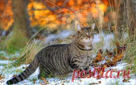 12226zFKAtJXTcerQGiMyEh.jpg (1920×1200)