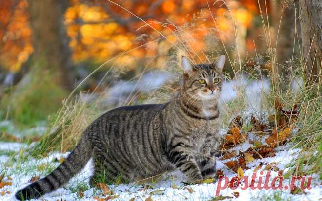 12226zFKAtJXTcerQGiMyEh.jpg (1920×1200)