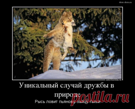 Новые фотографии