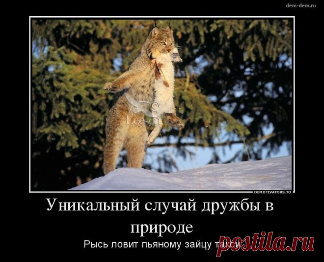 Новые фотографии