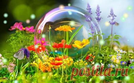 Звонкое лето (Стих)