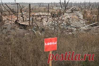 Мужчина подорвался на мине в российском регионе
