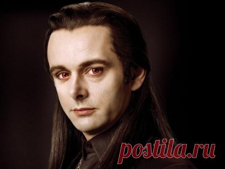 Майкл Шин: 39 тыс изображений найдено в Яндекс.Картинках