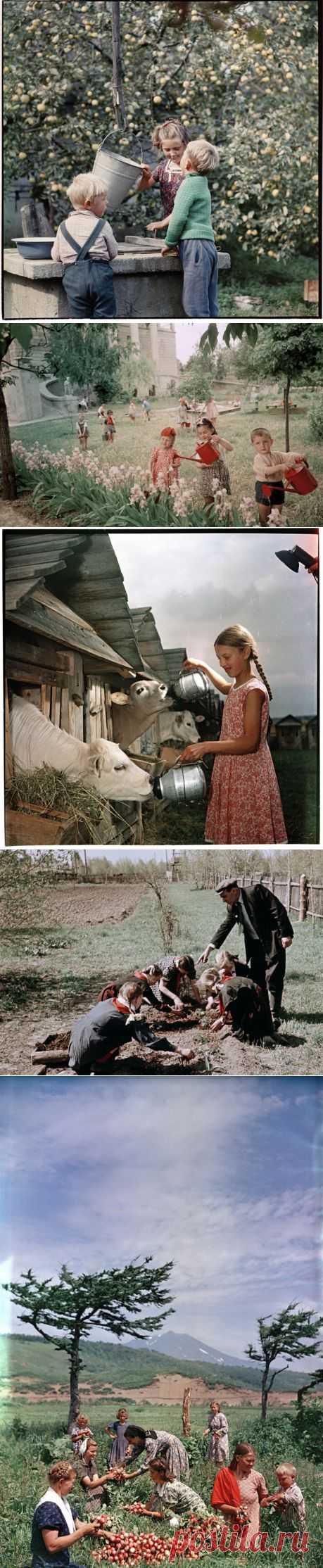 СССР - ФОТО С ДЕТЬМИ