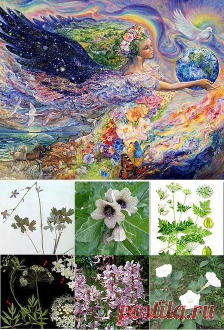 Ведьмин день - слышали о таком? - СЛАВЯНСКАЯ ОБЩИНА ОРЕНБУРЖЬЯ - Группы Мой Мир