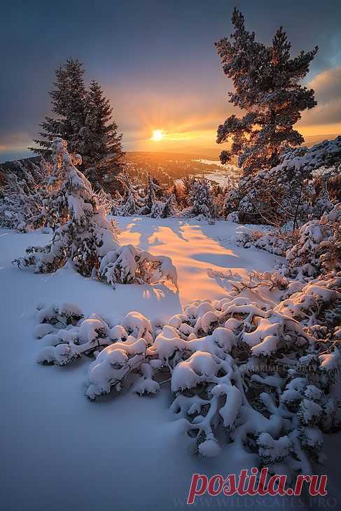 Winter |  Найдено на сайте theenchantedcove.tumblr.com.