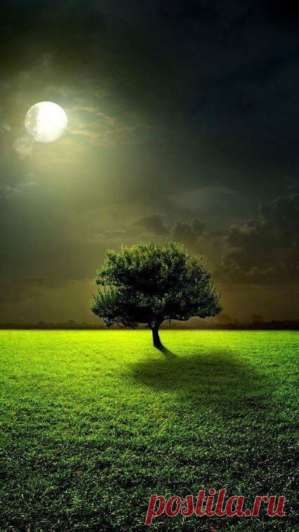 Google+