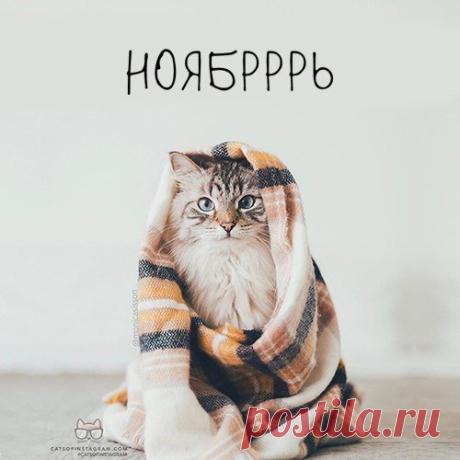 Шедевры рукоделия