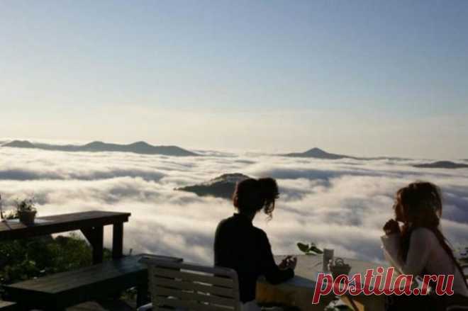 Интересное и прикольное