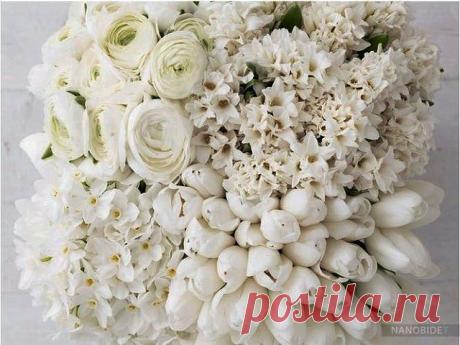 Красивые Цветы  Для Тебя