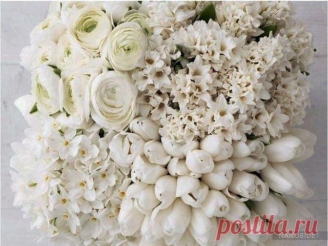 Красивые Цветы  Для Тебя