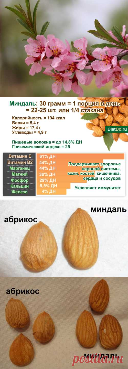 Миндаль — польза и вред для организма, сколько нужно есть в день и как правильно это делать. Грамотные обзоры пользы и вреда продуктов от DietDo.ru!