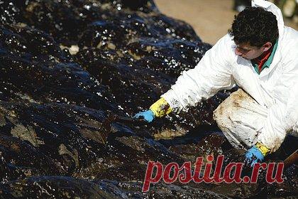 Оценена экологическая угроза из-за разлива нефти после крушения танкеров в Керчи