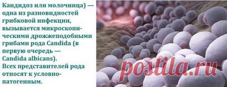 Лучшее время, чтобы сделать тест на кандиды - утром, как только вы проснулись и еще не чистили зубы, не ели и не пили. Наполните стакан с водой. Соберите слюну во рту и плюньте в стакан с водой. Наблюдайте, что происходит. Если слюна плавает на поверхности - это совершенно нормально. Подождите 15 минут. Если слюна все еще на поверхности воды, вы, вероятно, свободны от кандидоза . Если в течение этих 15 минут появляются тонкие струны, которые проходят вниз в воду, это говор...