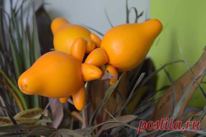 Паслён сосочковый, обезьяний фрукт, страстоцвет язычковый, померанец: диковинные фрукты Одиннадцатая часть необычных и малоизвестных фруктов со всего мира, которые поражают не только своей чудаковатой формой, но и специфическим запахом и пикантным вкусом …