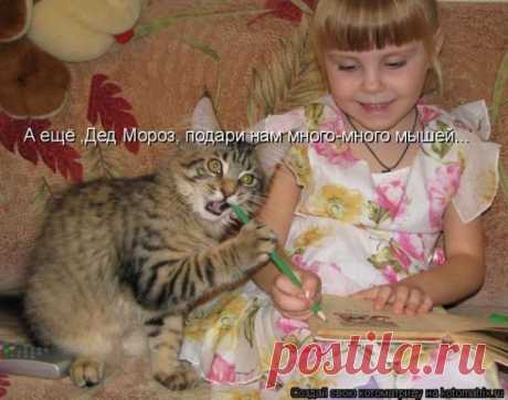 ЮМОР-ПОРТАЛ ▒ВИДЕО ツ☞ ФОТО ツ☞ ПРИКОЛЫ▒⎝⏜⏝⏜⎠
юрий семёнов