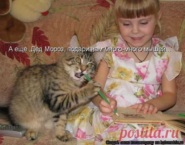 ЮМОР-ПОРТАЛ ▒ВИДЕО ツ☞ ФОТО ツ☞ ПРИКОЛЫ▒⎝⏜⏝⏜⎠
юрий семёнов
