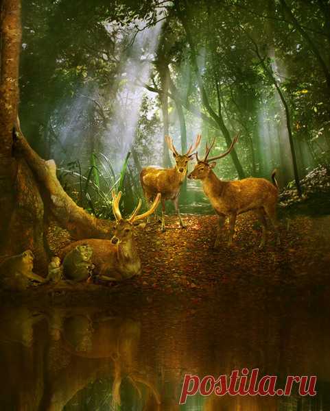 Фотограф Agah Permadi - 13 фото. Фотографии Ольга Дудина.