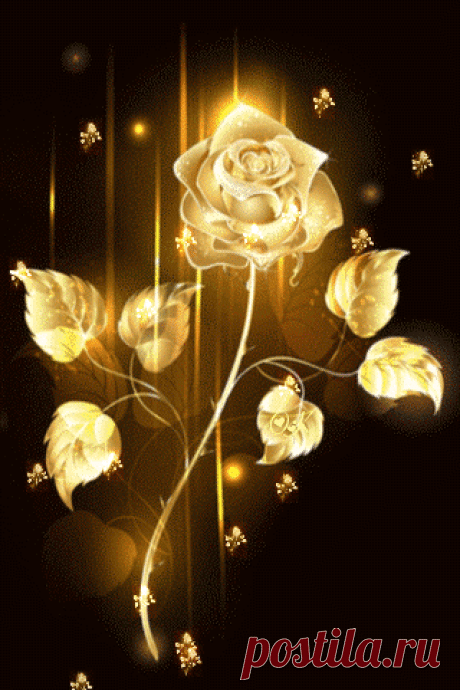 NATA Liya - Google+