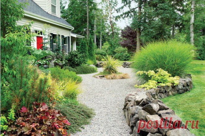 Результат поиска Google для https://plantcaretoday.com/wp-content/uploads/georgetown-015-600x400.jpg