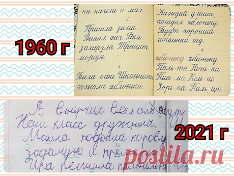 Секрет красивого почерка советских школьников. Можно ли его повторить сейчас | Заметки мамы-училки | Яндекс Дзен