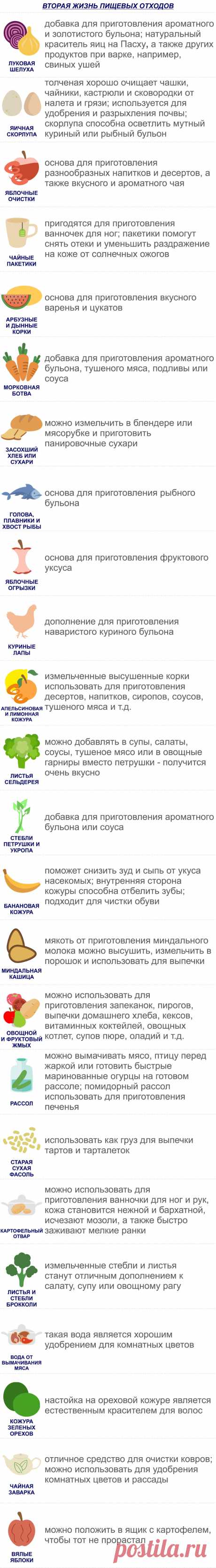 Вторая жизнь остатков продуктов: на заметку экономной хозяйке / Меню недели
