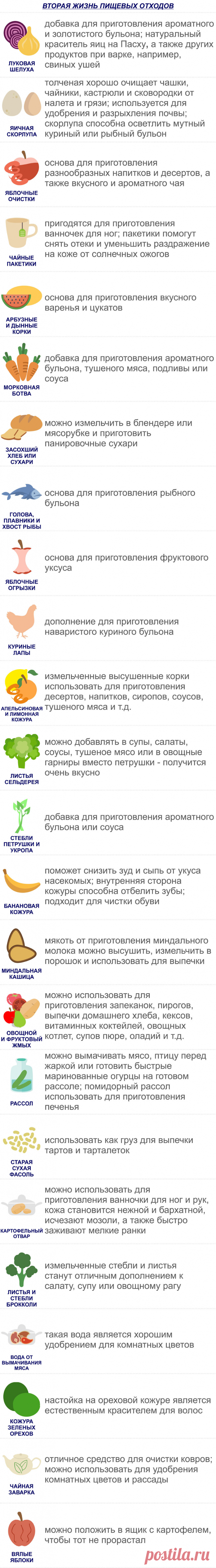 Вторая жизнь остатков продуктов: на заметку экономной хозяйке / Меню недели