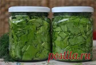 Щавель консервированный