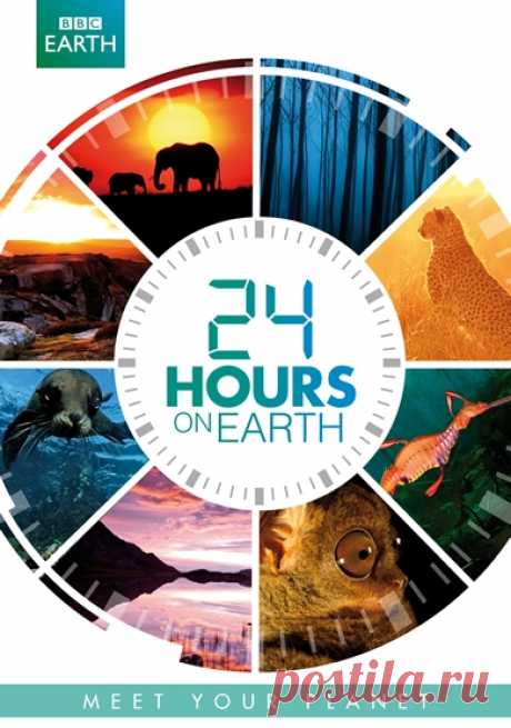 Могущественное Солнце - уникальный творец, который ежедневно дарит жизненную гармонию на Земле. Оно полноправный участник и созерцатель всех событий, случающихся на планете. Расположение Солнца судьбоносно всегда, независимо от пространства и временных рамок. Оно несет жизнь для одних существ, предоставляя им невероятные возможности, а также несет гибель другим существам. Прохождение Солнца по земному небосводу регулирует жизненные процессы всех животных земли.